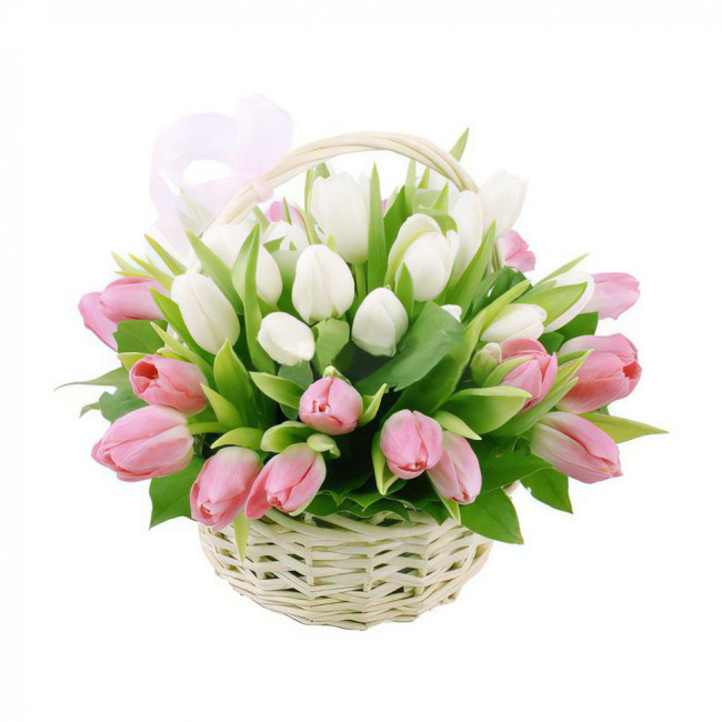 Эмили Эмили